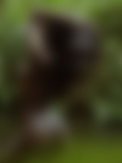 GabbyGreco's hot photo – thumbnail